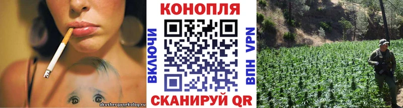 Где найти наркотики Мыски Кокаин Амфетамин Мефедрон APVP Гашиш Бошки Шишки