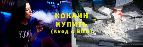 прущий лед Алзамай