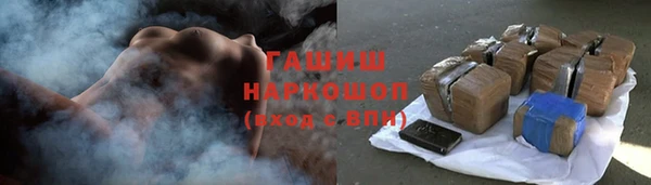 хмурый Новозыбков