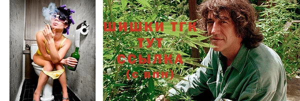 индика Алексеевка